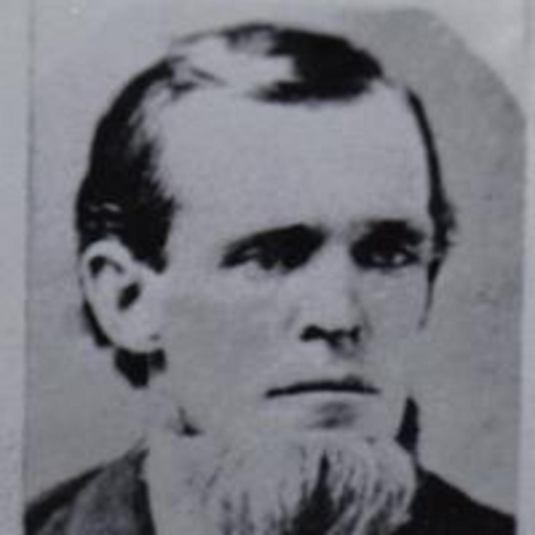 Henry Elisha Perry (1827 - 1875) Profile